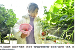 志愿北京2h田野亲子通票【79.9元/孩子3.28/29/4.4/5/6摘草莓+捡鸡蛋/抓猪体验+喂萌宠+逛多肉
