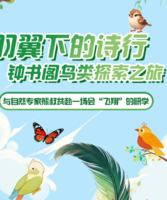 公益时长2h【钟书阁鸟类探索之旅】3.15/21/29羽翼下的诗行：儿童单飞+下午场半日营