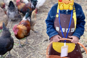 志愿北京2h【春季打工记T】3.28/29昌平植树/小农夫入职培训/捡鸡蛋/手绘风筝/田间运动会