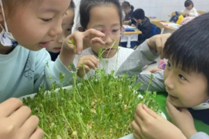 【地球小卫士99/儿童】3.7/8/14/15/21/22房山植树/水培芽苗菜/传统沙土炒花生/春日枕头大战