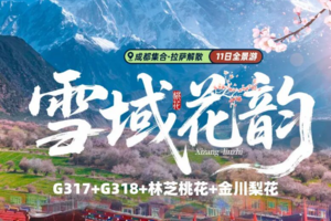 限定【大美川藏11日】林芝桃花+金川梨花+色达+玉隆拉措+德格印经院+强巴林寺+然乌湖+来古冰川（共5期）