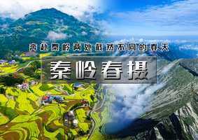 清明3天｜秦岭春摄｜登太白山-凤堰古梯田油菜花-水陆庵-悟真寺-白鹿原影视城-西安