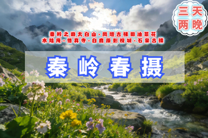 清明3天【秦岭春摄】火车团｜登太白山-凤堰古梯田油菜花-水陆庵-悟真寺-白鹿原影视城-西安