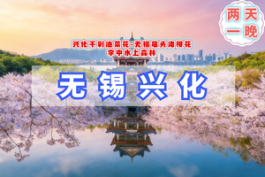 周末2日【兴化B无锡】3.21-22/3.28-29鼋头渚樱花-无锡古运河-李中水上森林-兴化油菜花海