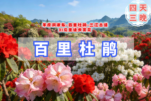 百里杜鹃｜贵州户外轻徒4天-清明4.3-6百里杜鹃野线-羊皮洞瀑布-三江古道（共4期铁定发团）