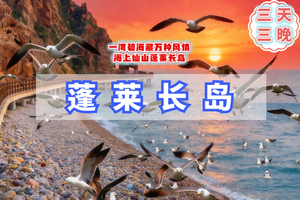 清明3天｜蓬莱长岛｜海上仙山长岛の蓬莱-长岛-庙岛-万鸟岛-月亮湾-与海鸥为伴