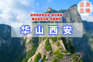 清明3天【西安华山A】梦回长安城｜登华山-秦始皇兵马俑-黄河大铁牛鹳雀楼-西安夜景