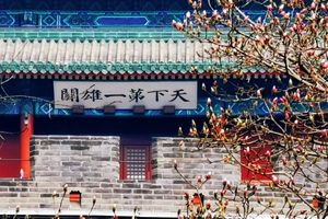 前百人特惠88！情定花海列车3.29周日【户外单身专场】开往春天的列车，开向你的山海 （也可自驾）