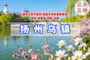 清明3日【江南C+扬州乌镇】烟花三月下扬州｜兴化油菜花-扬州-瘦西湖-何园-乌镇（大巴）
