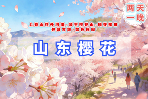 清明2天｜山东樱花山｜上春山花开浪漫の邹平樱花山-梅花梯田-孙武古城-魏氏庄园