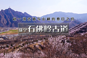 周末1日｜石佛岭古道｜古道沧桑桃花为伴-9公里赏花徒步<初级>