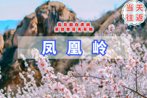 周三周末/清明1日【凤凰岭穿越B】北京版桃花岛の凤凰岭-白虎涧后花园10公里穿越<初级强度>