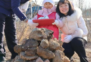 志愿北京2h【大地厨神节】4.6/11/12/18/19/25搭窑烤鸡·手作披萨·野火焖饭·挖野菜·搭帐篷·玩游戏