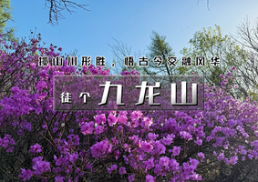 周末1日｜九龙山｜九龙山寻杜鹃の生态绿廊的独特风貌-9公里徒步穿越