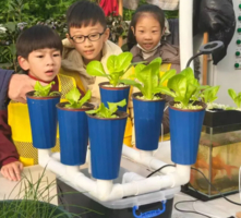志愿北京4h趣探鱼菜共生5.10/23/24/30/31教授带你构建／阳台绿色生态/建造专属自己的微农场