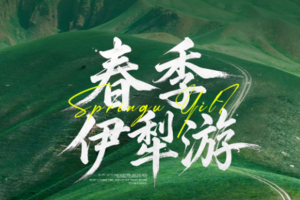 绝色新疆【春季伊犁7日】2-6人小团乌鲁木齐-那拉提草原-赛里木湖-恰西-琼库什台-安集海-特克斯-S101丹霞