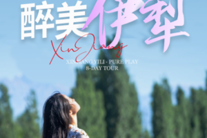绝色新疆【醉美伊犁8日】伊犁全景游+2-8人团+赛里木湖+喀拉峻+巴音布鲁克+那拉提+天马浴河 +夏特徒步