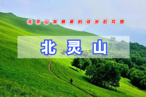 周末1日【北灵山】穿越高山草甸，初级难度解锁壮阔清爽美景，尽览京郊 “小阿勒泰” 风光～