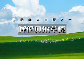 端午7天【呼伦贝尔草原】阿尔山-呼伦贝尔-满洲里-额尔古纳-莫日格勒河-扎龙丹顶鹤放飞-畅游呼伦贝尔大环线