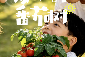 志愿北京3h【孩子的蕃茄树】6.7/8/13/14/19/20幼苗到挂满红果，在观察与照料中学会坚持与热爱，亲手摘果实