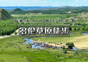 端午2天｜多伦草原徒步｜穿越草原阡陌-漫游沙地林海-行走多伦大草原深处30公里