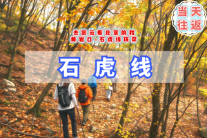 周末1日【石虎线】北京周边的小小热带雨林穿越-9公里小众徒步线路-捡山楂捡苹果（初级强度）