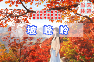 周三四/周末1日【坡峰岭】漫步红色海洋-年度醉佳红叶观赏地-可品当地特色饸烙面
