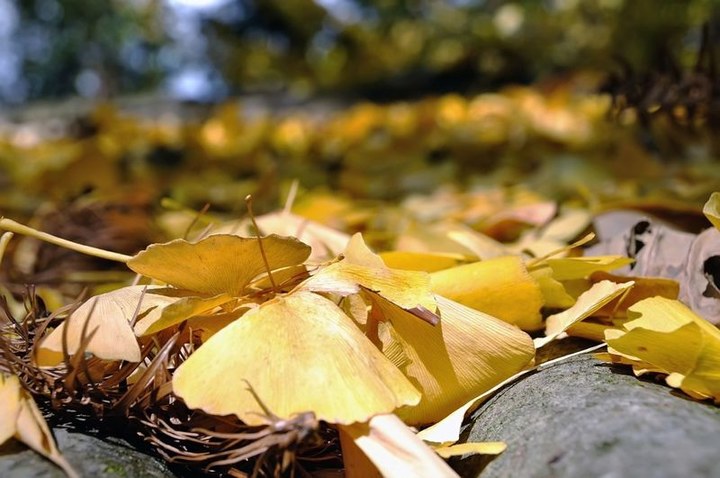 大理旅游攻略图片1