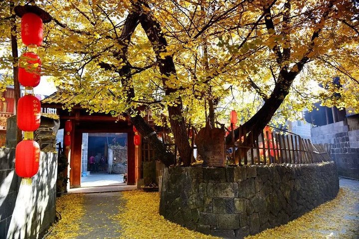 大理旅游攻略图片2