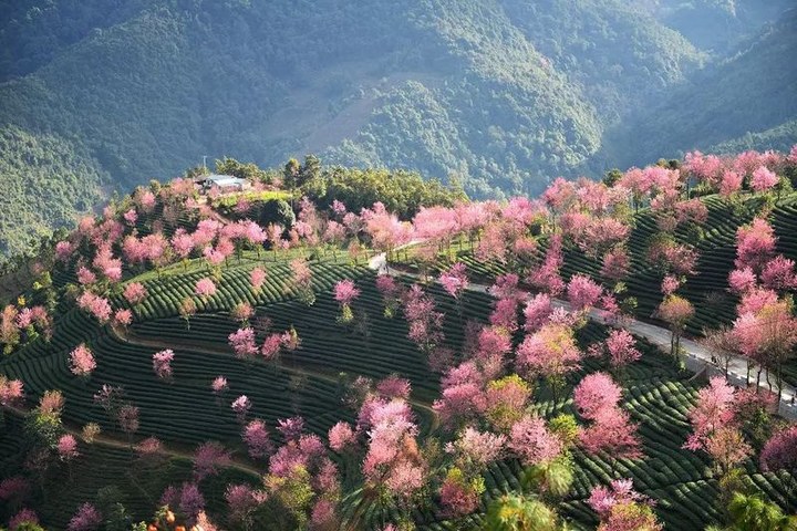 大理旅游攻略图片7