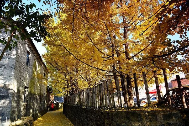 大理旅游攻略图片9