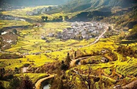 春天赏花去哪里?户外达人告诉你! 春天赏花去哪里?户外达人告诉你!