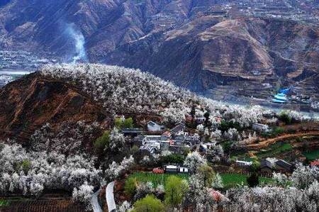 春天赏花去哪里?户外达人告诉你! 春天赏花去哪里?户外达人告诉你!