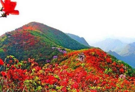 春天赏花去哪里?户外达人告诉你! 春天赏花去哪里?户外达人告诉你!