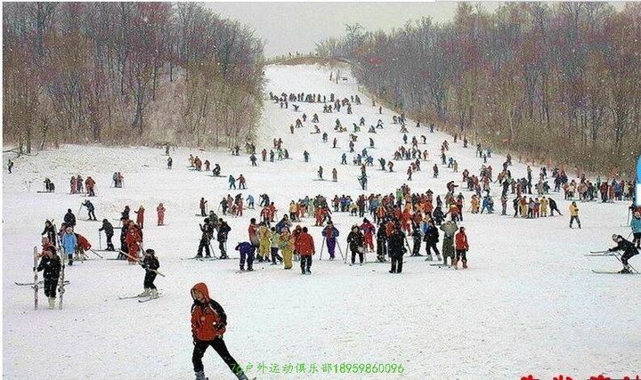 QQ图片20151119201723.jpg