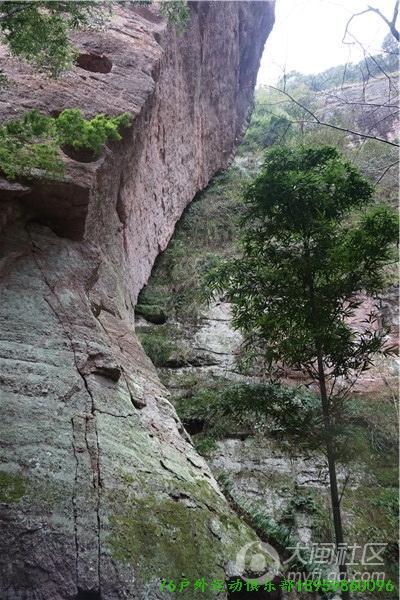 0 (16).jpg