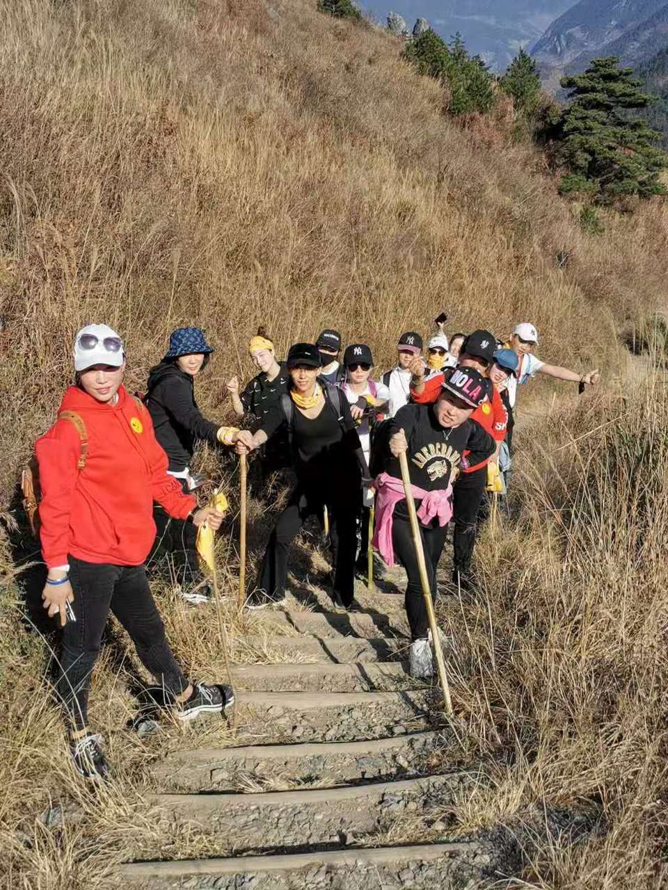 7ddb3d01f1d18f470309fcce142f815