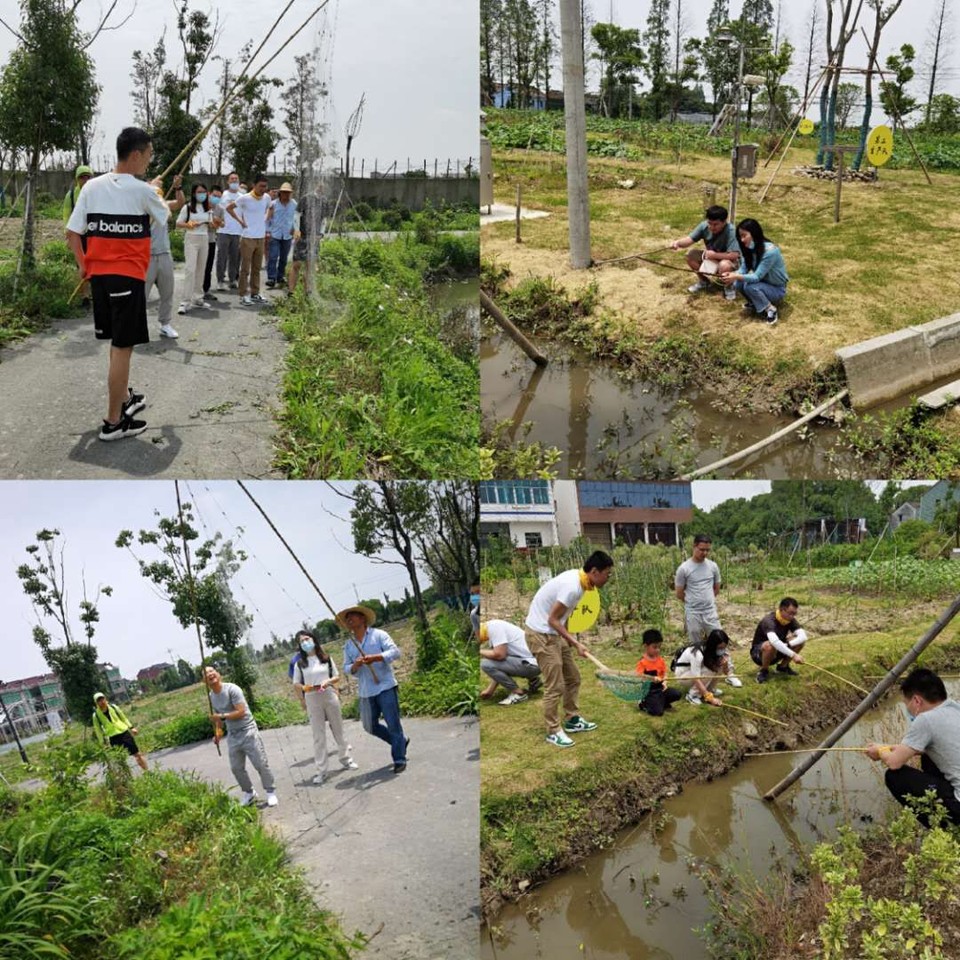 b70ae88f715038a9fdc31876afb2bc7