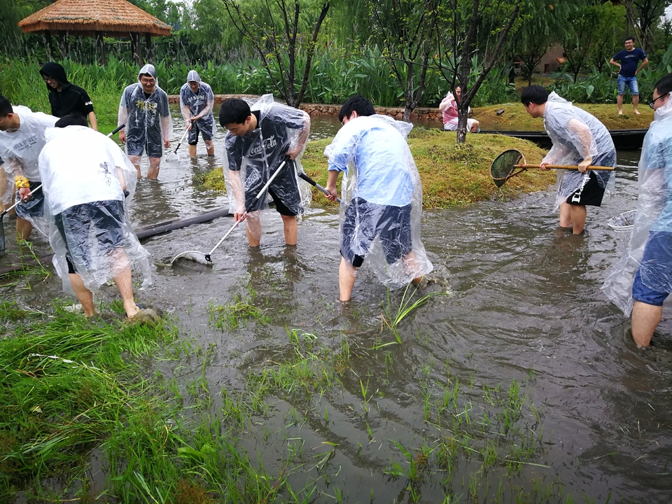 2ebfc5cf22cadecce85ed750c15254b