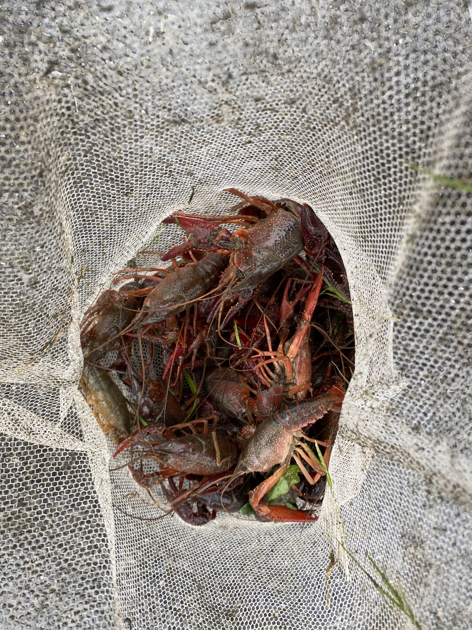 7923f9947e97056538b1eaf690e48da