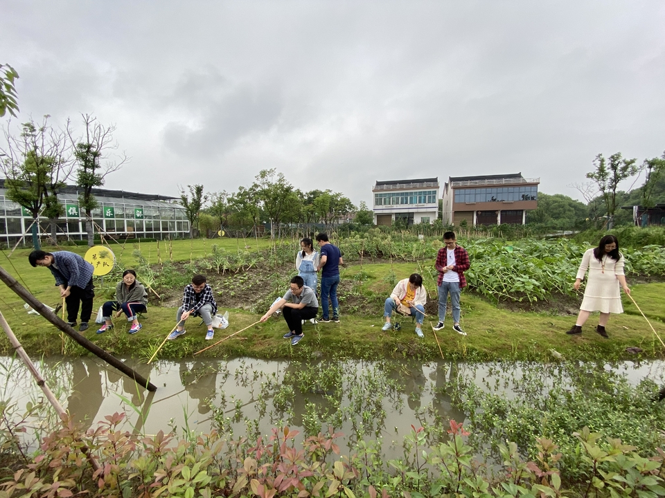 8702b23a51098161be34dc46ccf9ddc