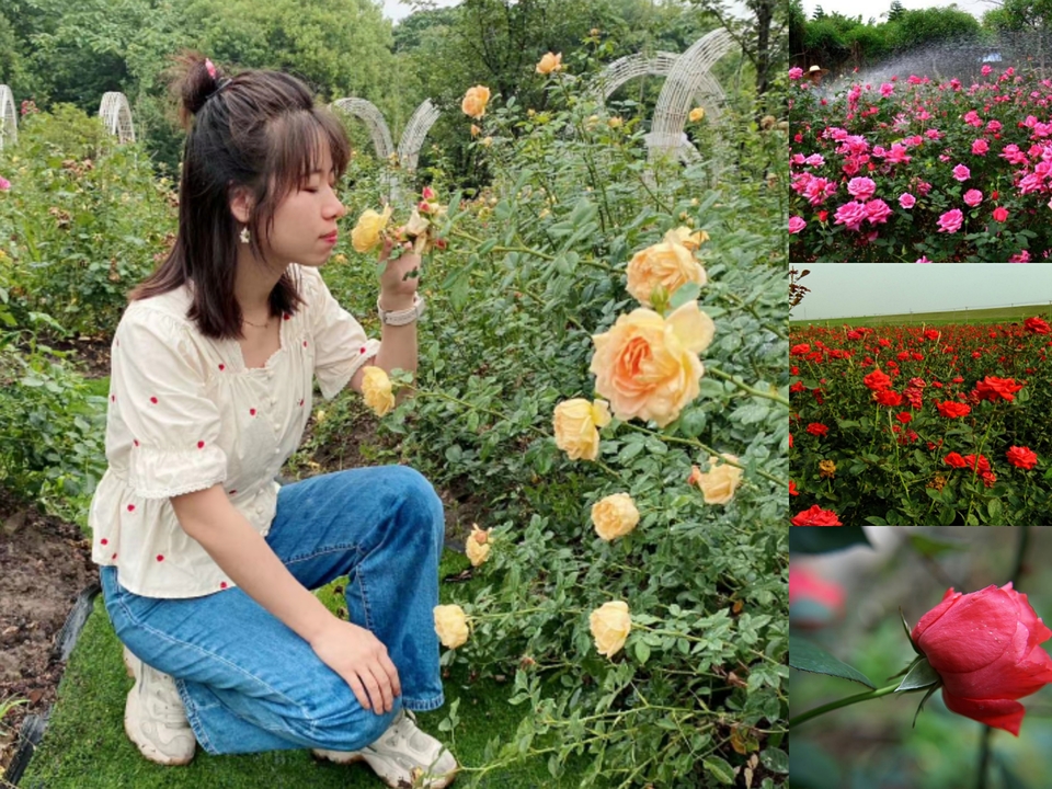 微信图片_20200605165307