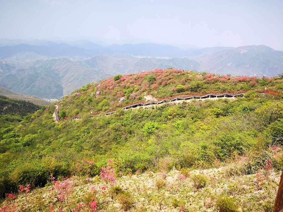 2afaa3978652b6fb2ce32a5c2b37a92