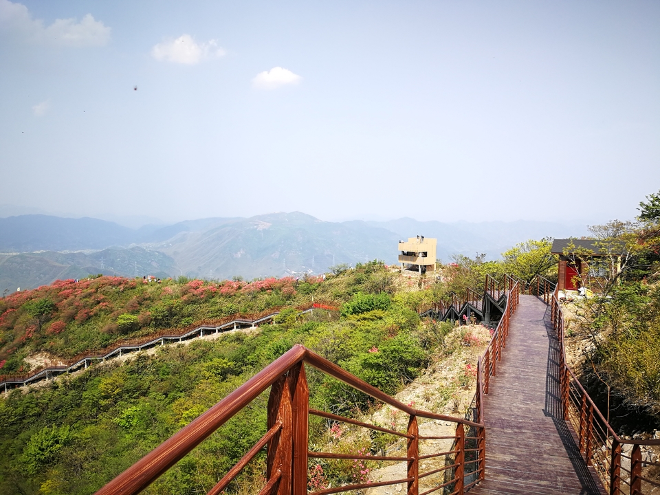 05e80d802744f6fdb947f8b5e29c53c