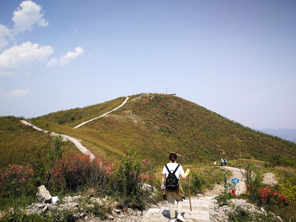 28d3c205c000d52759de6f1f04bf5f5