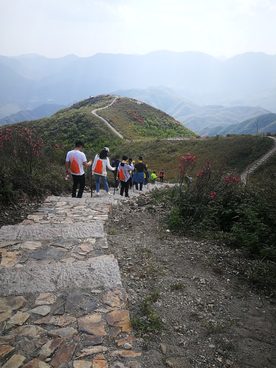 46e046d981b32794237ffc84f297490