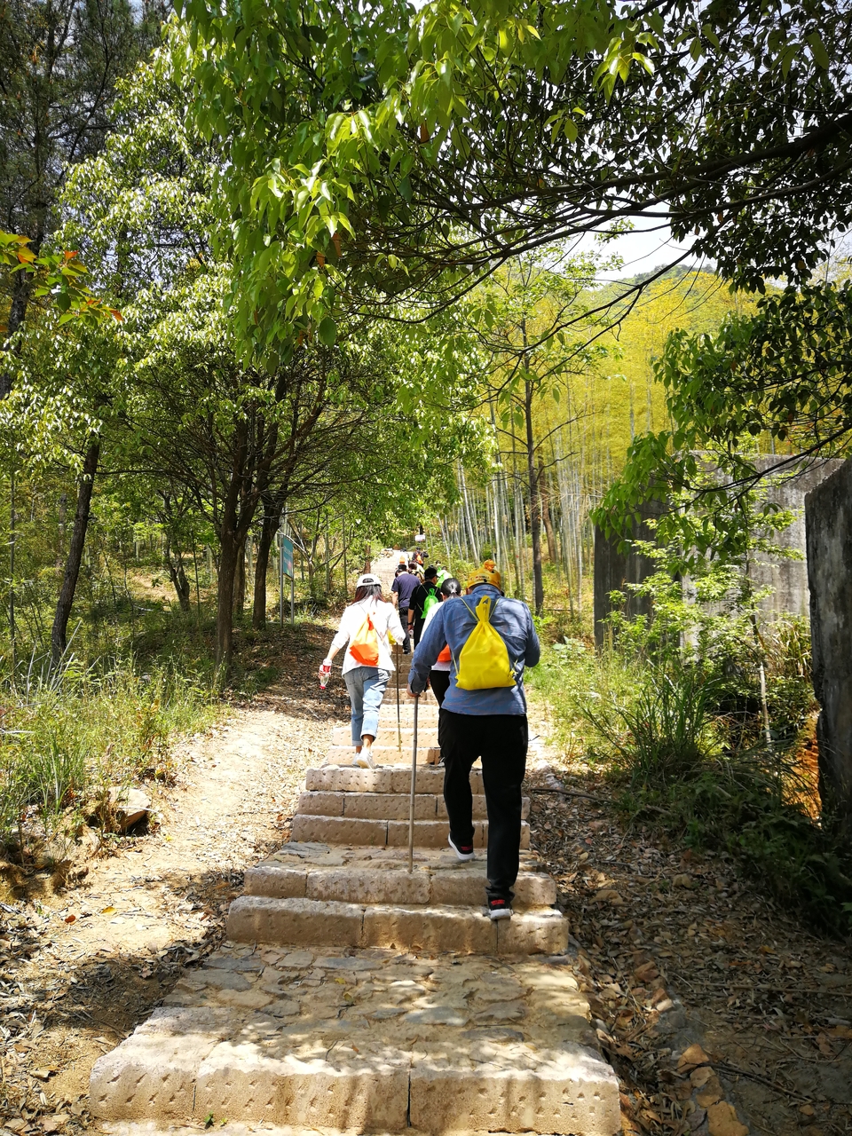 fe04cceee304df354db31a05b250c0d