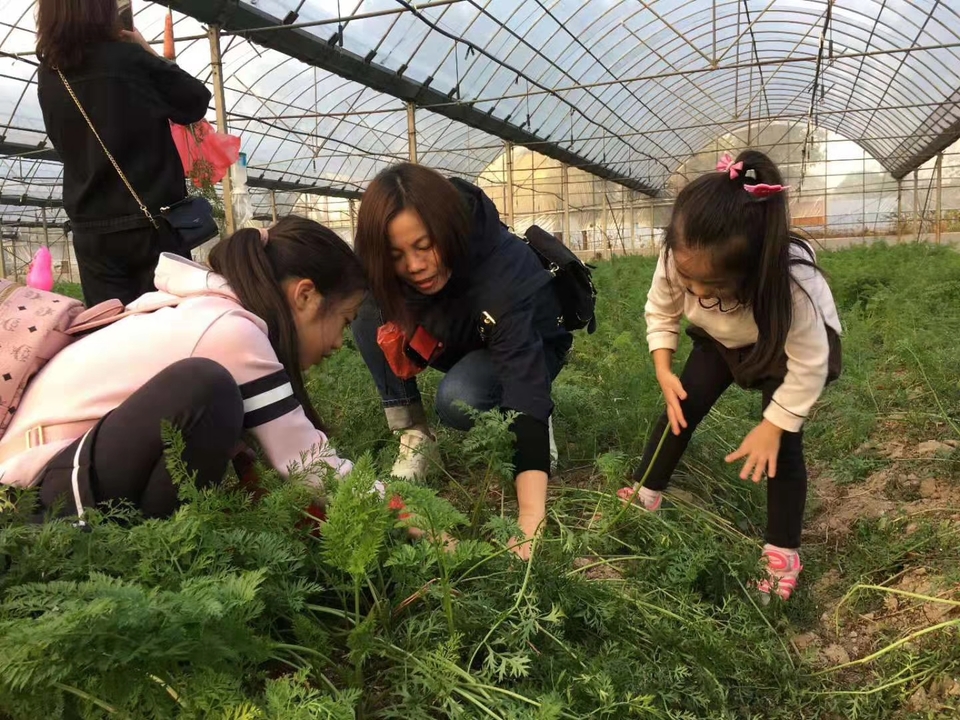 fc7efb64640d3e976d4e99d11d0cfc7