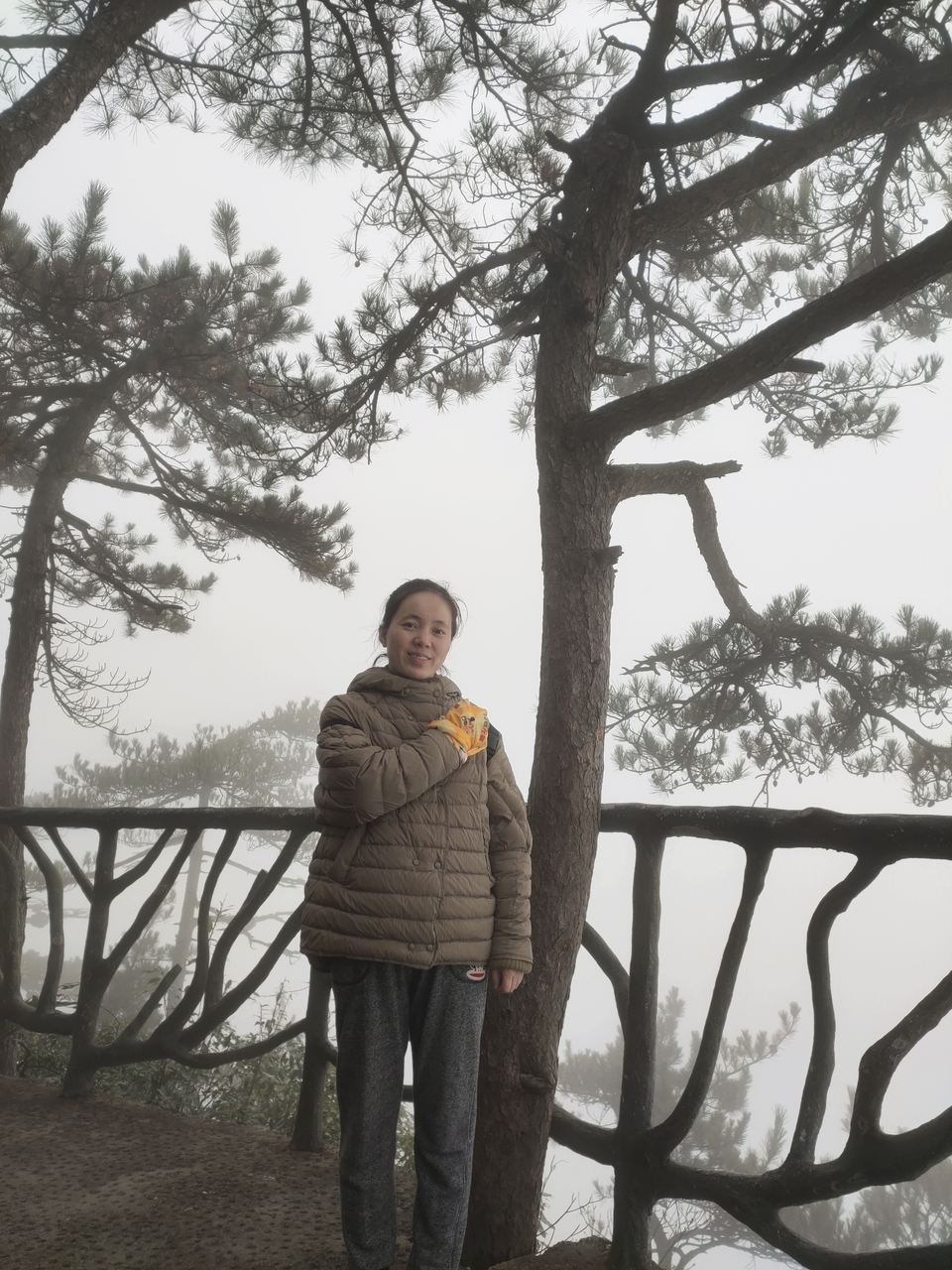 401b202352f9a41599e269623854410