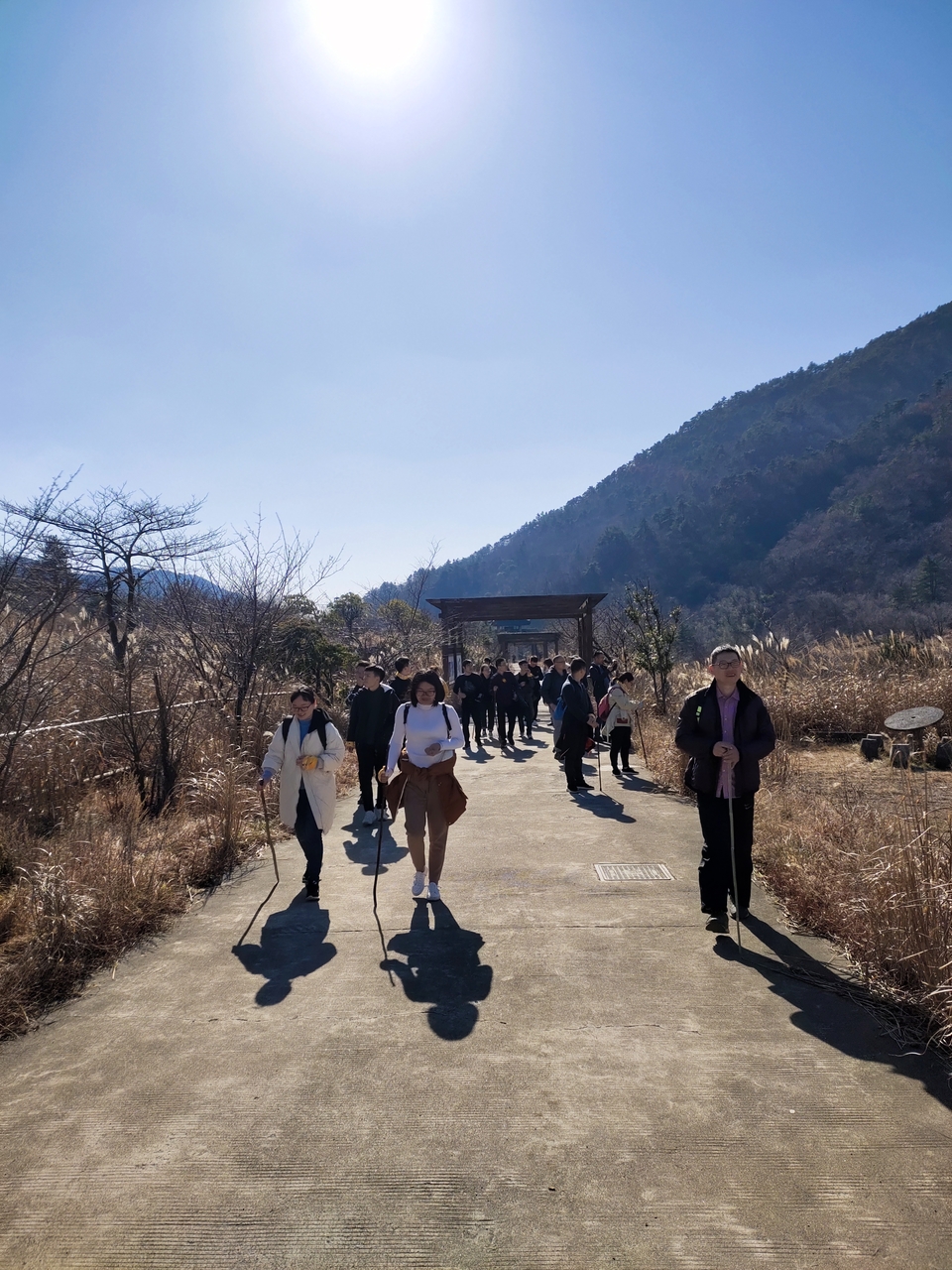 3bd02900a67fd7ea1046d1c56c1531c